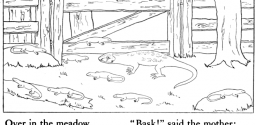 Reptiles Amphibians Coloring Pages Categories Mother Lizard Baby Lizards Basking