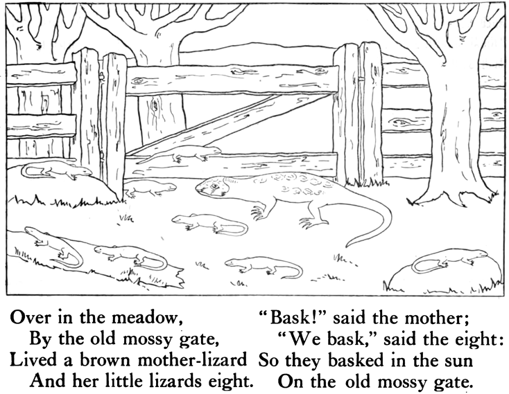 Mother Lizard Baby Lizards Basking Sun Gate Coloring Printable Pages