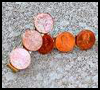 Coin      Barrettes  : Crafts Ideas with Money /  Coins for Kids