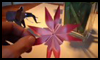 Making An Origami Flower Instructions 