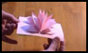 Pop Up Card . Just Piece of Paper . Amazing Flower Origami 